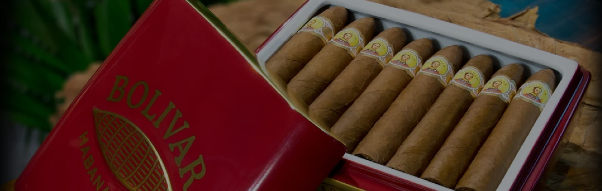 brand-slider bolivar 1