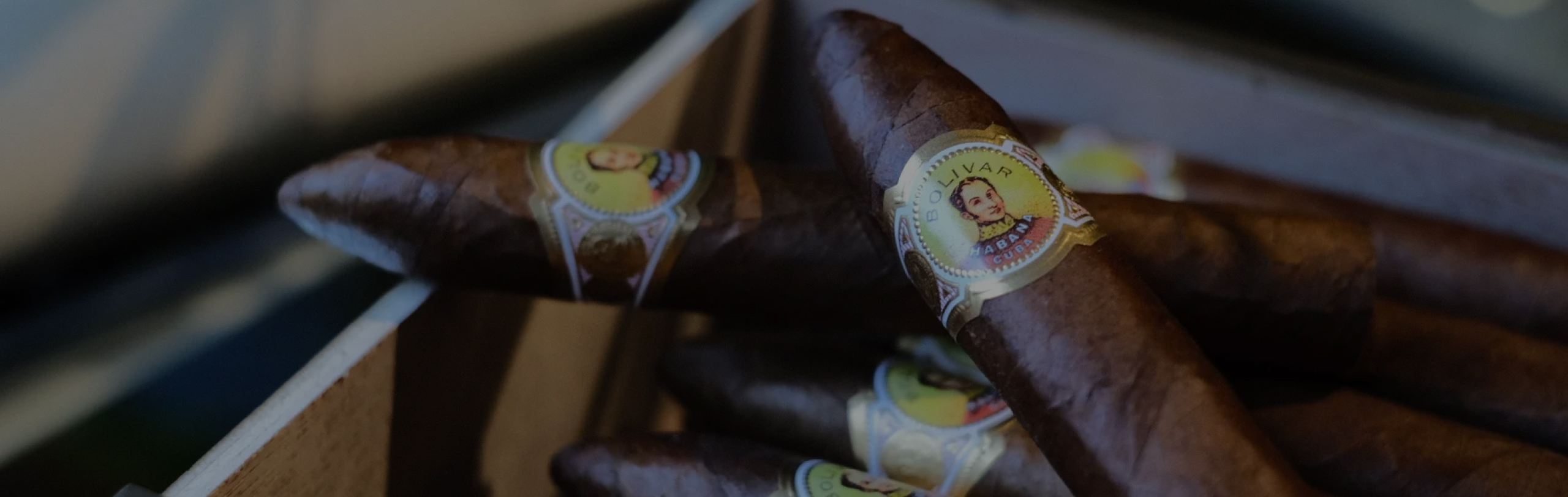 brand-slider bolivar 2