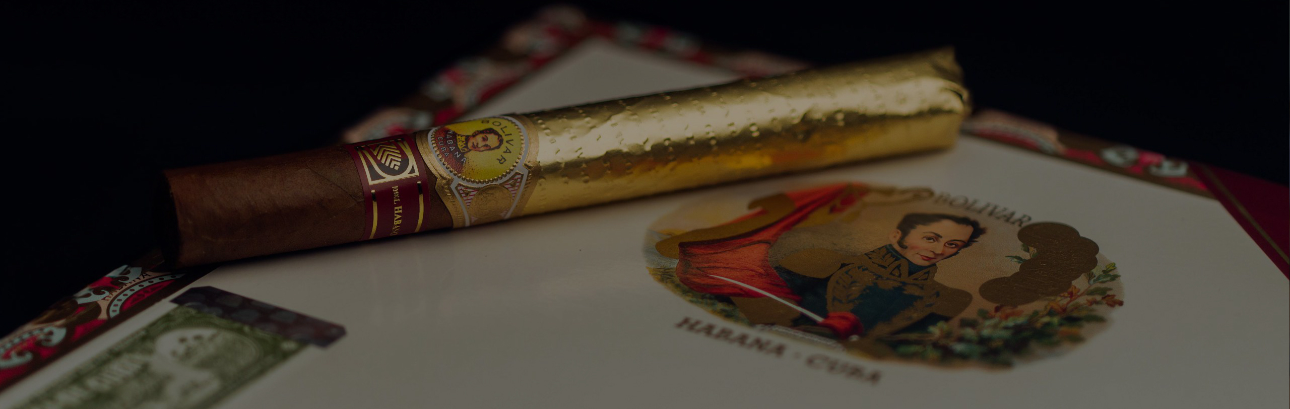 brand-slider bolivar 3