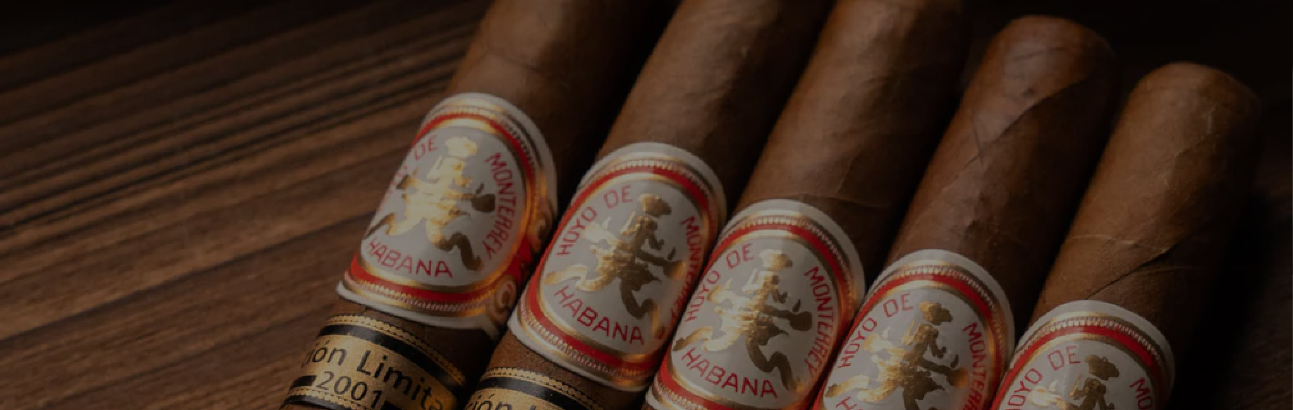 brand-slider hoyo 2