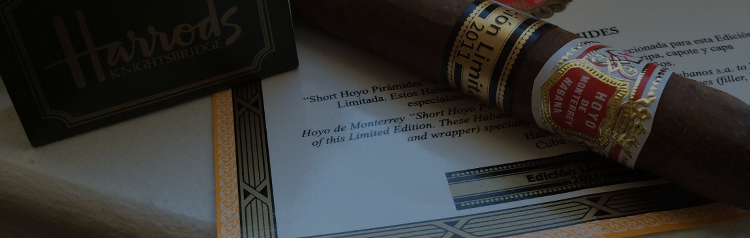 brand-slider hoyo 3