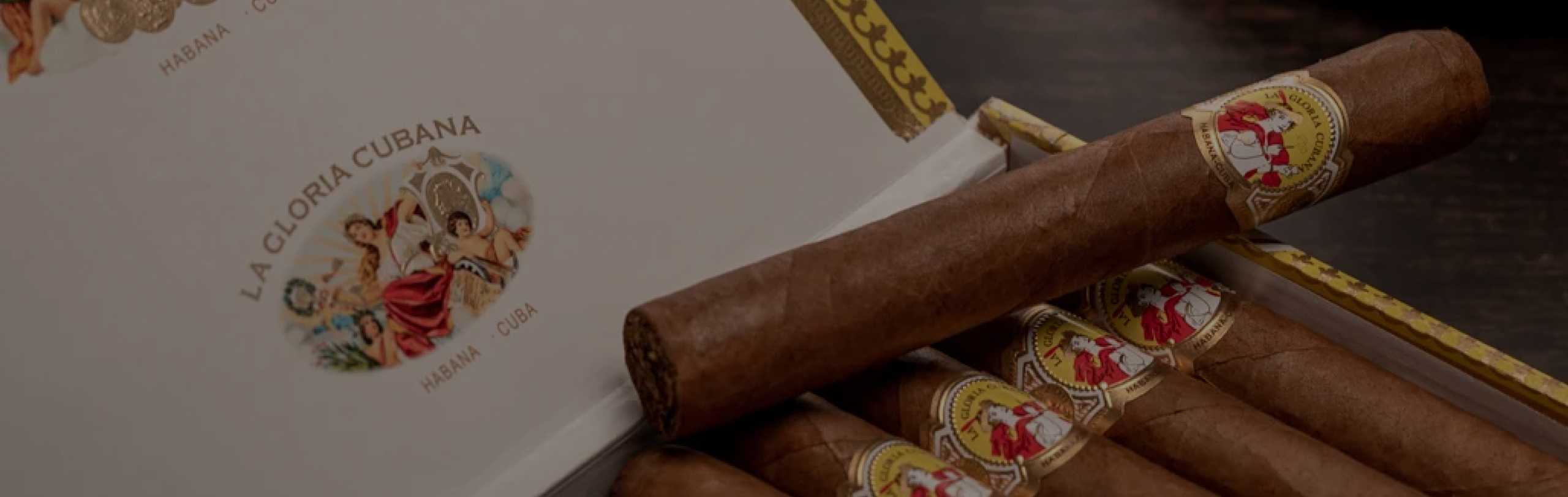 brand-slider lagloria 3