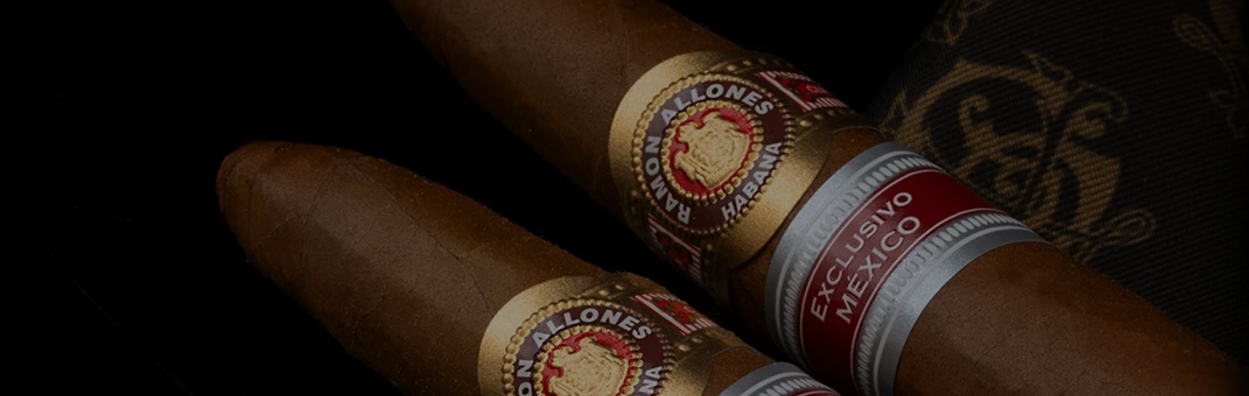 brand-slider ramon allones 1