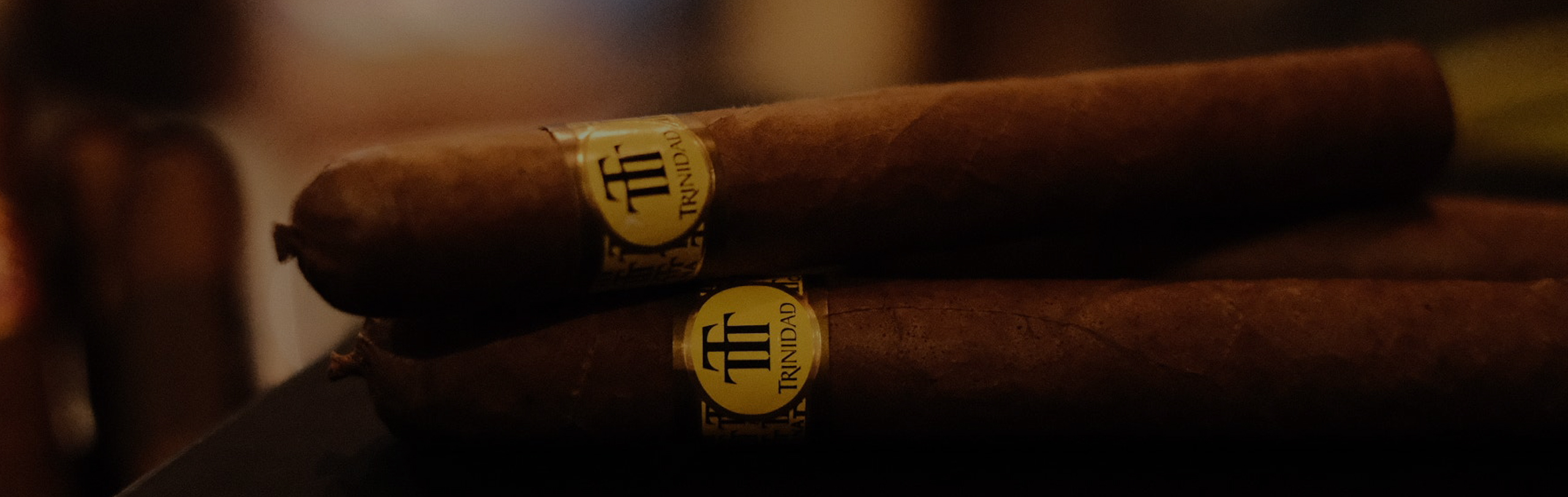 brand-slider trinidad 2